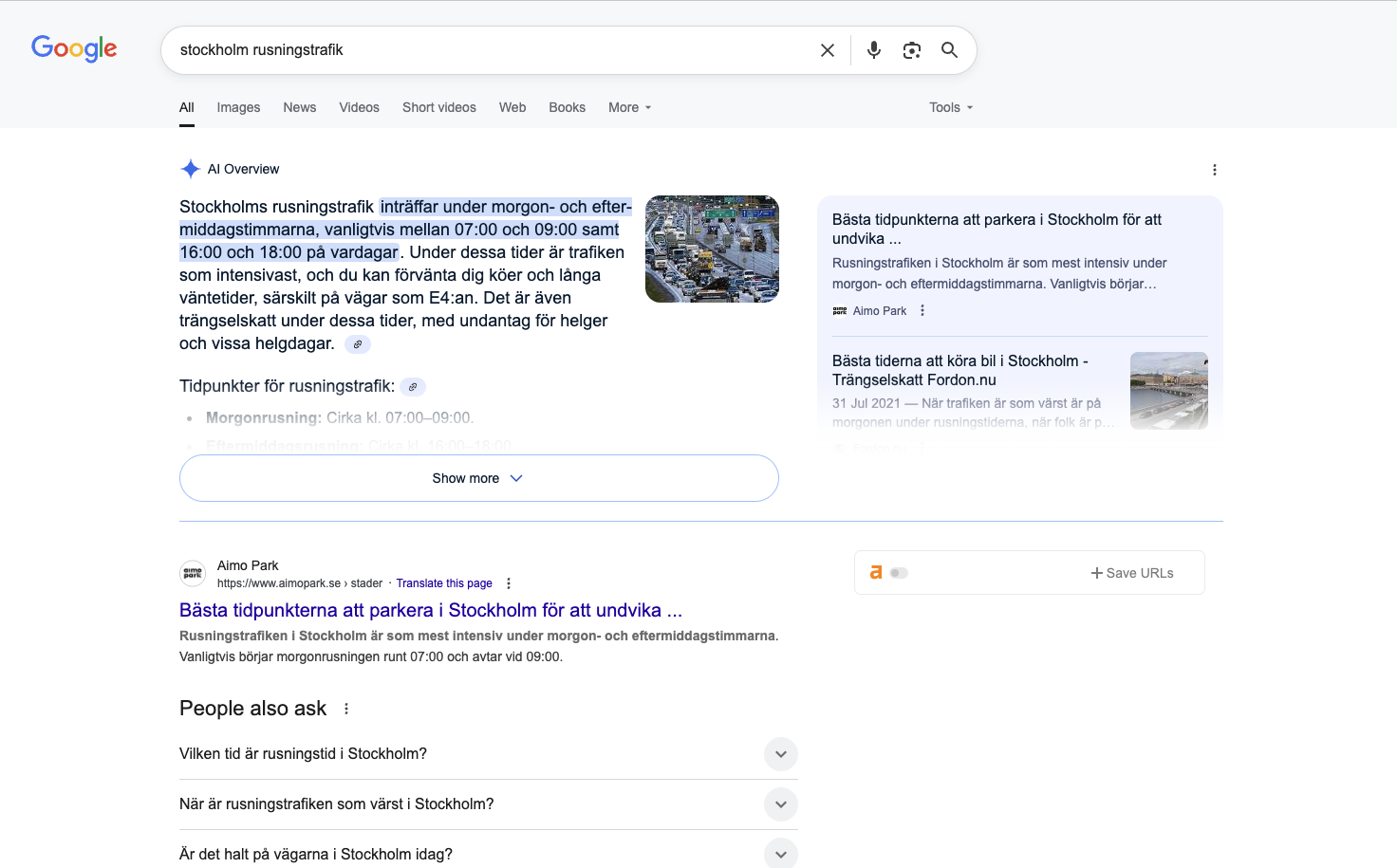 Aimo Park Results with WP SEO AI